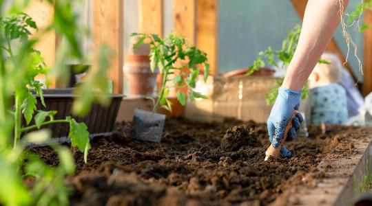 Garden Maintenance